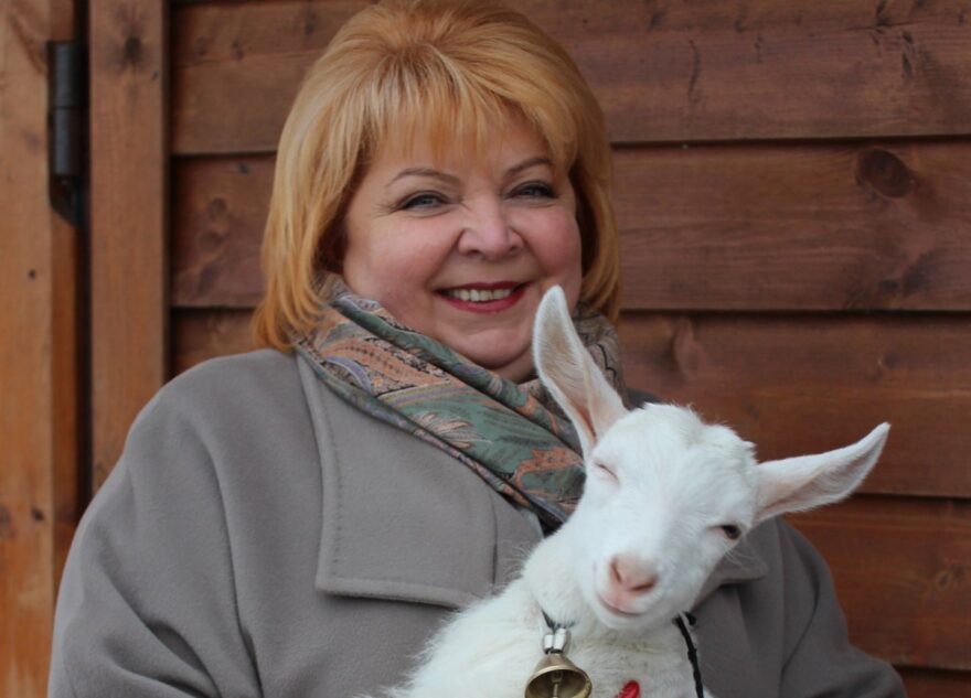 Светлана Максимова: «Санкции отразятся на сельском хозяйстве положительно» Светлана Максимова: «Санкции отразятся на сельском хозяйстве положительно»