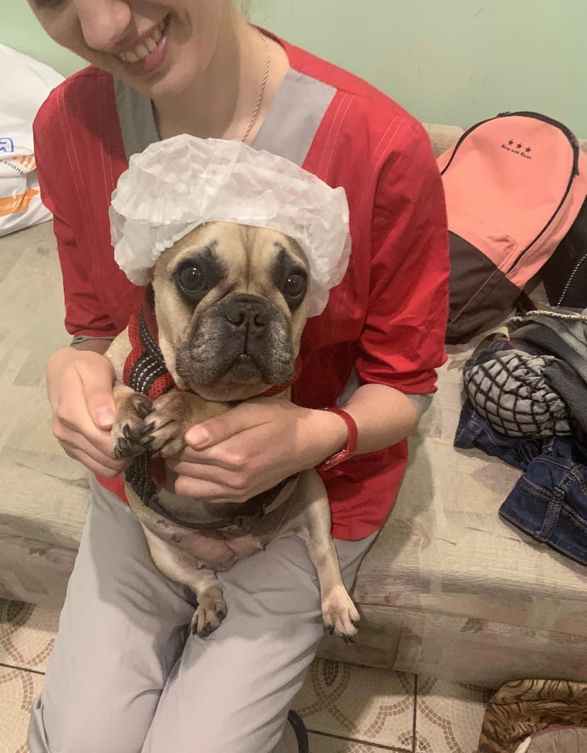 Догхантеры убили любимую собаку тверских ветеринаров