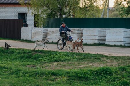 «Судья - это жизнь»: Светлана Федяева поделилась мнением о втором оправдательном приговоре Зобенкова