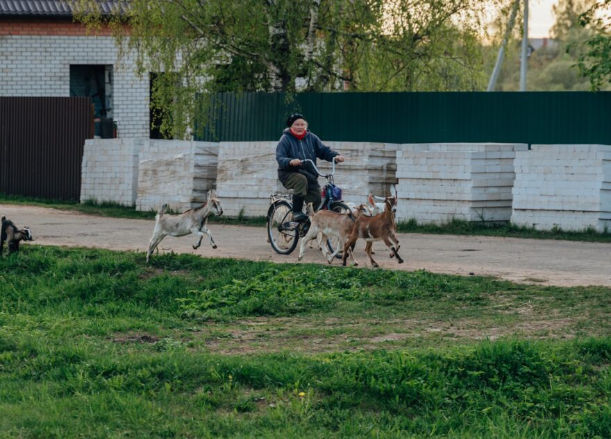 «Судья - это жизнь»: Светлана Федяева поделилась мнением о втором оправдательном приговоре Зобенкова