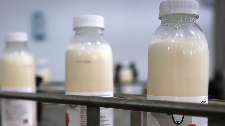 В России разрабатывают съедобную вакцину от коронавируса