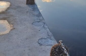 В Тверской области предлагают собрать народную дружину против вандалов