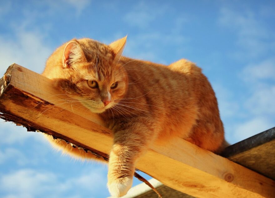 В России могут отменить оплату отопления летом