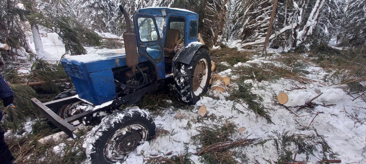 В Тверской области пресекли незаконную лесозаготовку