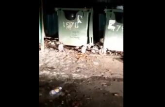 В тверском дворе крысы пугают жильцов и «жуют» автомобили В тверском дворе крысы пугают жильцов и «жуют» автомобили