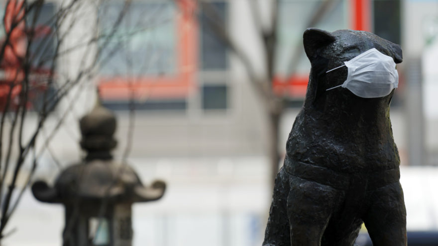 Коронавирус в Тверской области 27 апреля: ещё 94 человека заразились