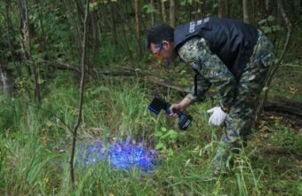 В Тверской области спустя 20 лет наказали мужчину, который убил и изнасиловал 16-летнюю девочку