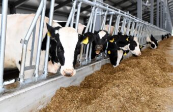 В Тверской области модернизируют предприятие по производству цельномолочной продукции и мясоперерабатывающий завод