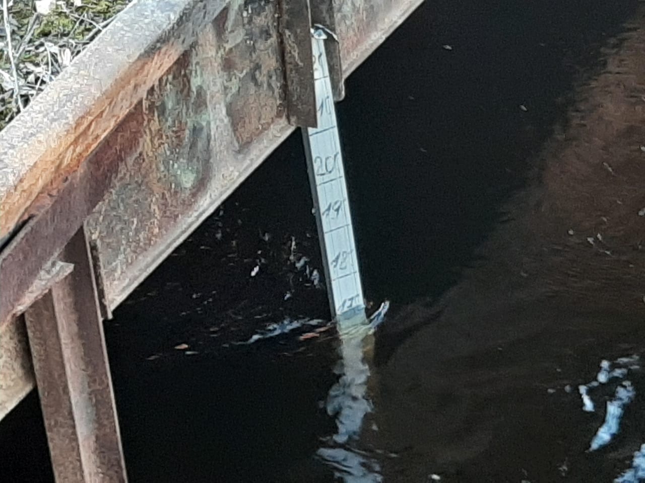 В затопленных деревнях под Тверью заметили мародёров