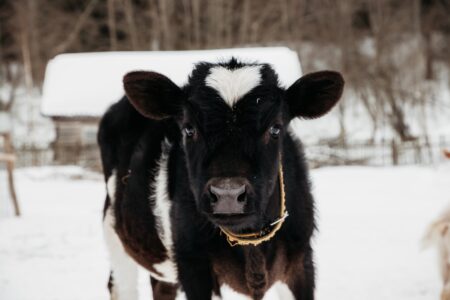 Больше 600 социальных контрактов заключили в Тверской области с начала 2022 года Больше 600 социальных контрактов заключили в Тверской области с начала 2022 года