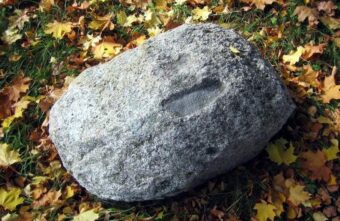 В Тверской области есть мистическое место, где очень много денег