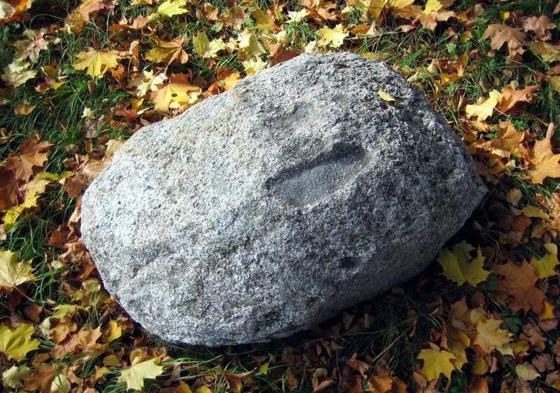 В Тверской области есть мистическое место, где очень много денег В Тверской области есть мистическое место, где очень много денег