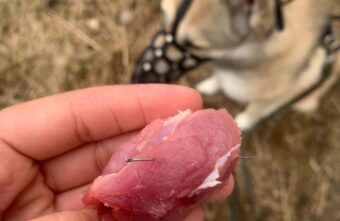 Догхантеры в одном из районов Твери перешли от таблеток к иголкам Догхантеры в одном из районов Твери перешли от таблеток к иголкам