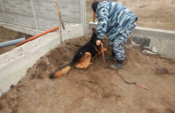 Тверитянин спрятал в Черкесске 40 свертков с наркотиками Тверитянин спрятал в Черкесске 40 свертков с наркотиками