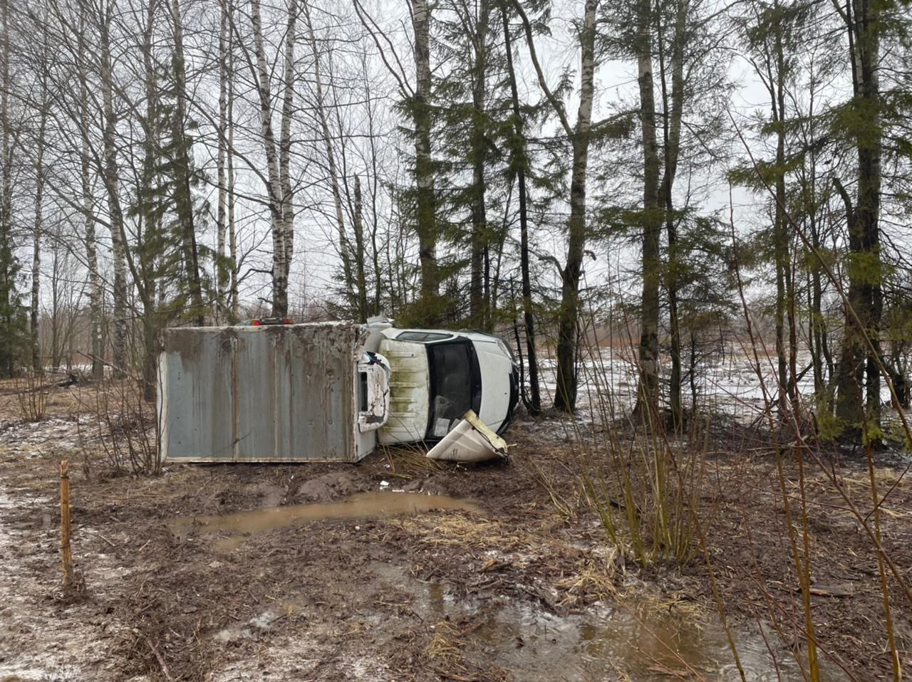 В Тверской области ГАЗель вылетела в кювет и перевернулась