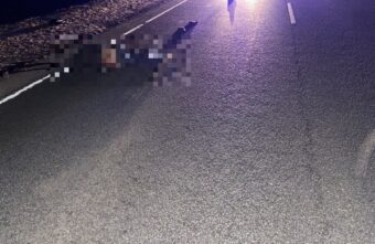 В Тверской области водитель насмерть сбил мужчину и уехал