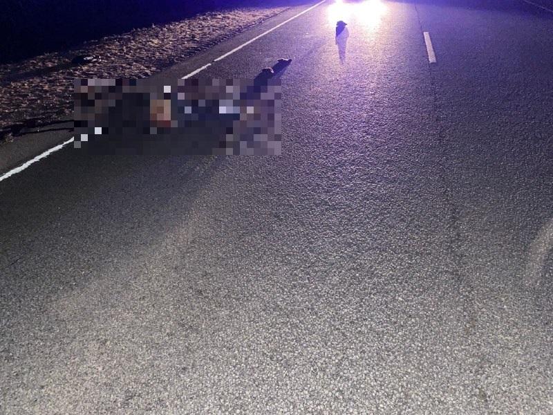 В Тверской области водитель насмерть сбил мужчину и уехал