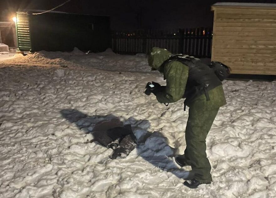 Завершилось расследование дела о гибели мальчика, которого загрызли собаки в Тверской области