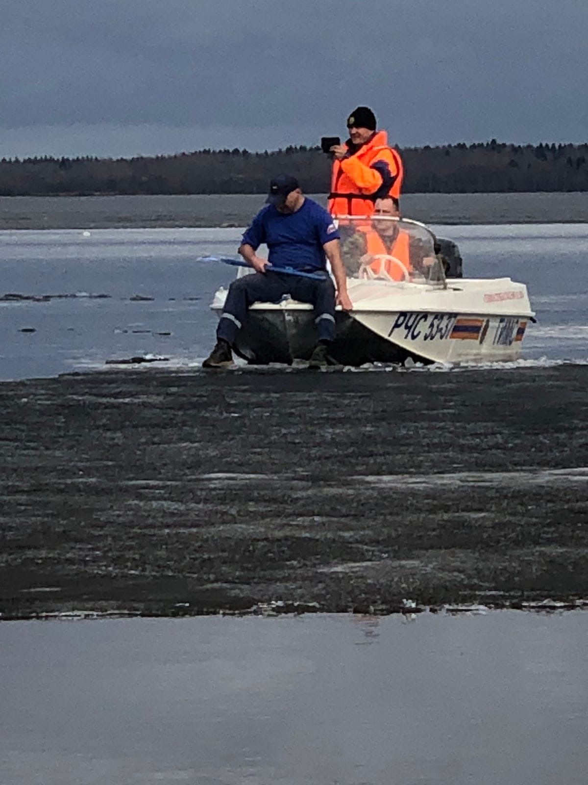 В Тверской области спасли собаку, уплывшую на льдине  