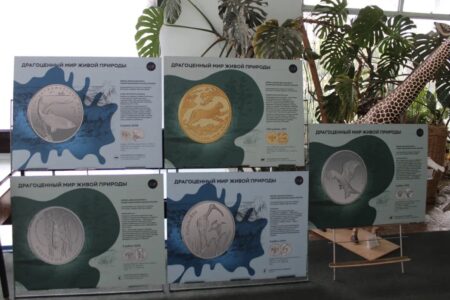 Выставка «Драгоценный мир природы» открылась на областной станции юных натуралистов Тверской области Выставка «Драгоценный мир природы» открылась на областной станции юных натуралистов Тверской области