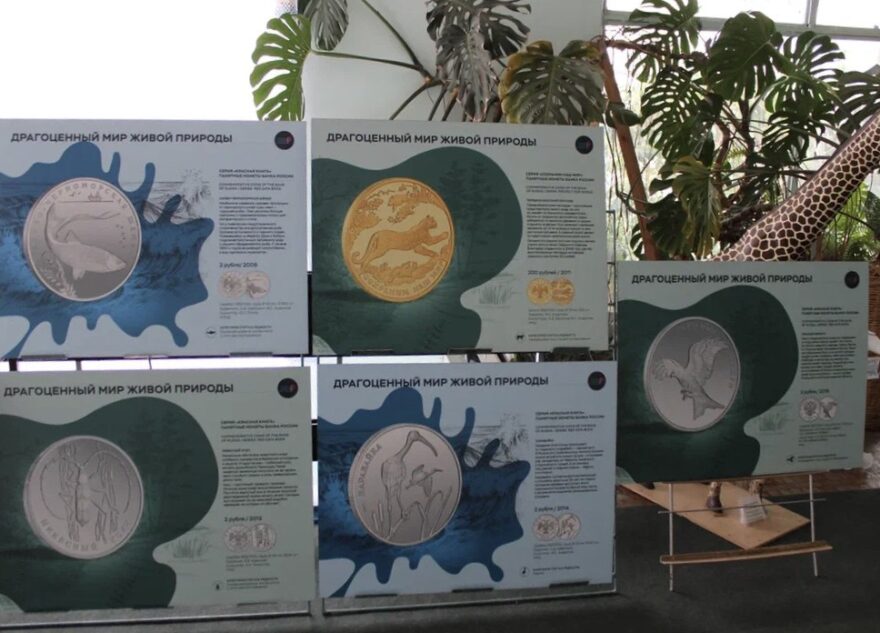Выставка «Драгоценный мир природы» открылась на областной станции юных натуралистов Тверской области