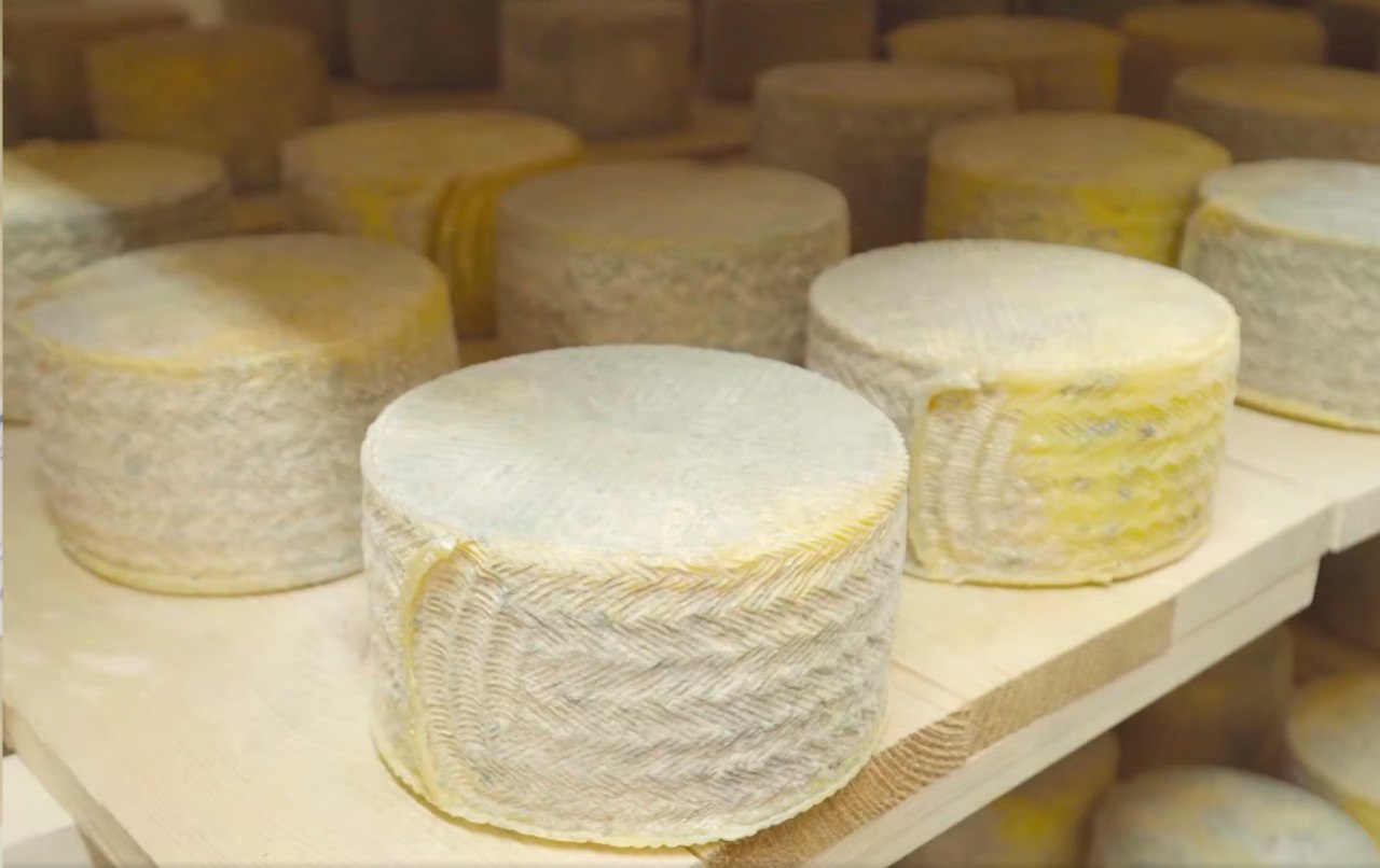 130 тонн сыра произвели предприятия Тверской области в 2021 году