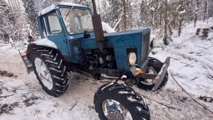 В Тверской области пресекли незаконную лесозаготовку