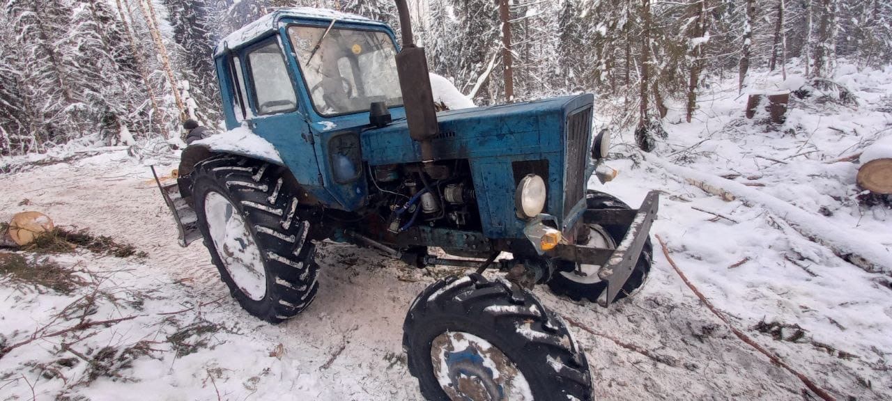 В Тверской области пресекли незаконную лесозаготовку