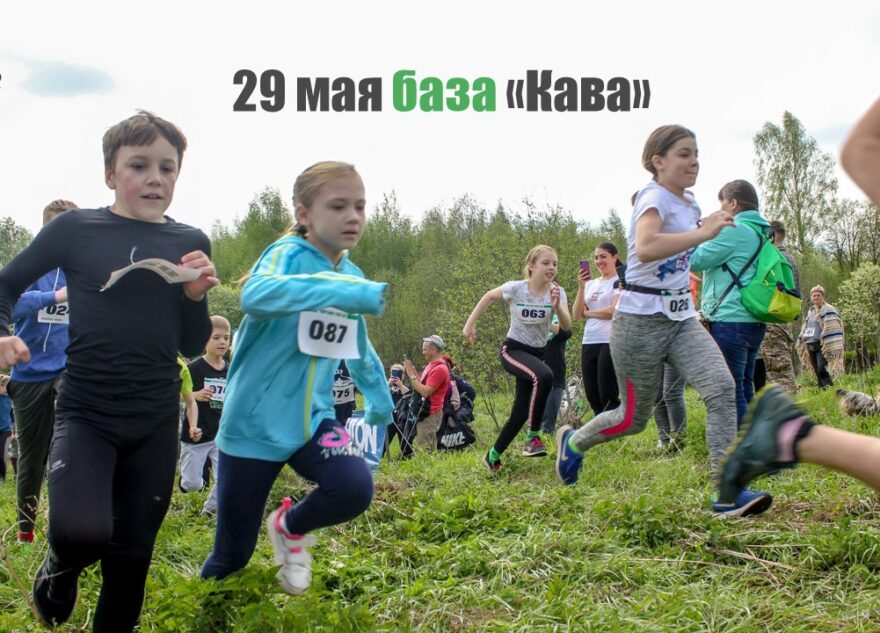 Трейл «Медовая горка» пройдёт под Тверью в конце мая