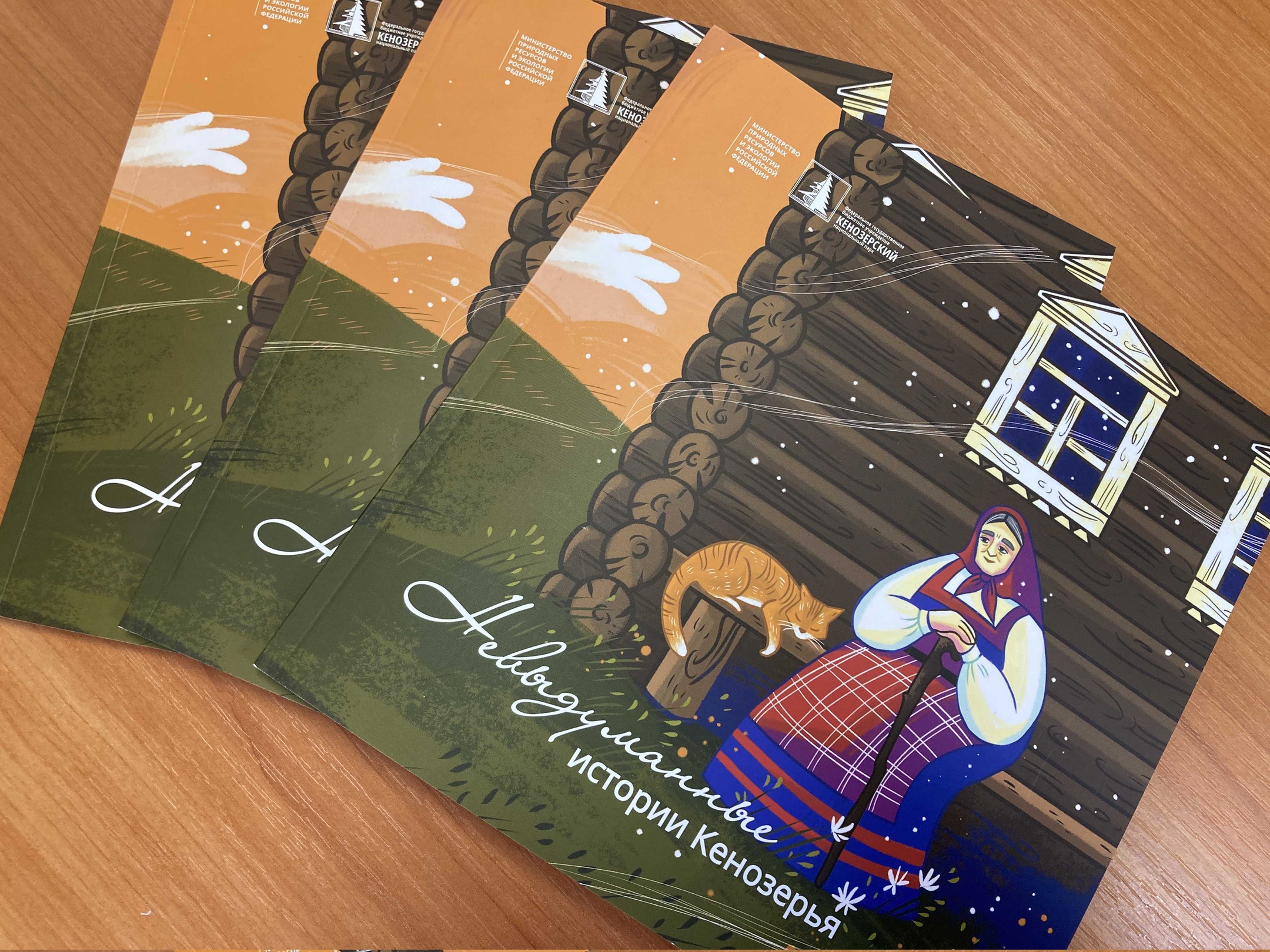 Главный редактор тверского медиахолдинга Юлия Овсянникова написала книгу историй о Кенозерье