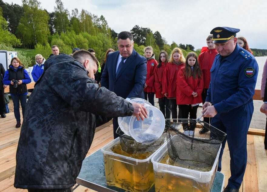 Губернатор Игорь Руденя и глава Росрыболовства Илья Шестаков приняли участие в зарыблении Волги