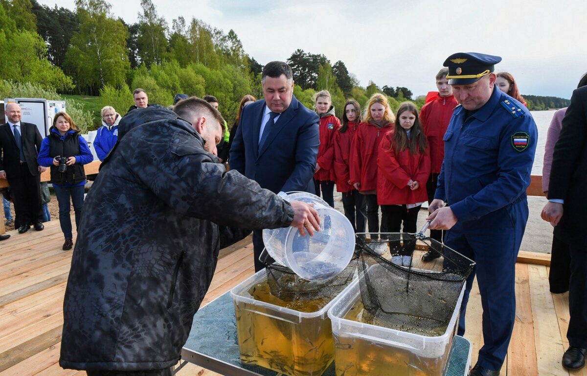 Губернатор Игорь Руденя и глава Росрыболовства Илья Шестаков приняли участие в зарыблении Волги