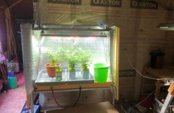 Подозреваемого в попытке сбыта крупной партии конопли задержали под Тверью