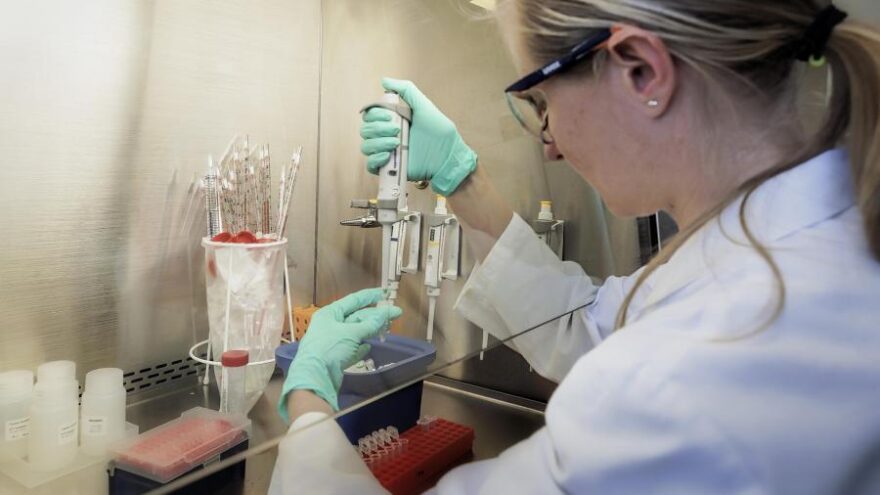 В ближайшем будущем в мире появится лекарство от рака