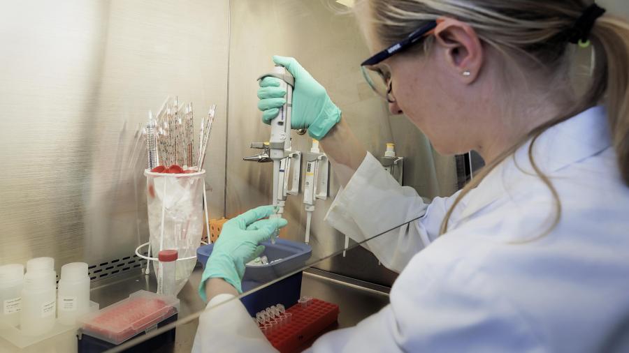 В ближайшем будущем в мире появится лекарство от рака