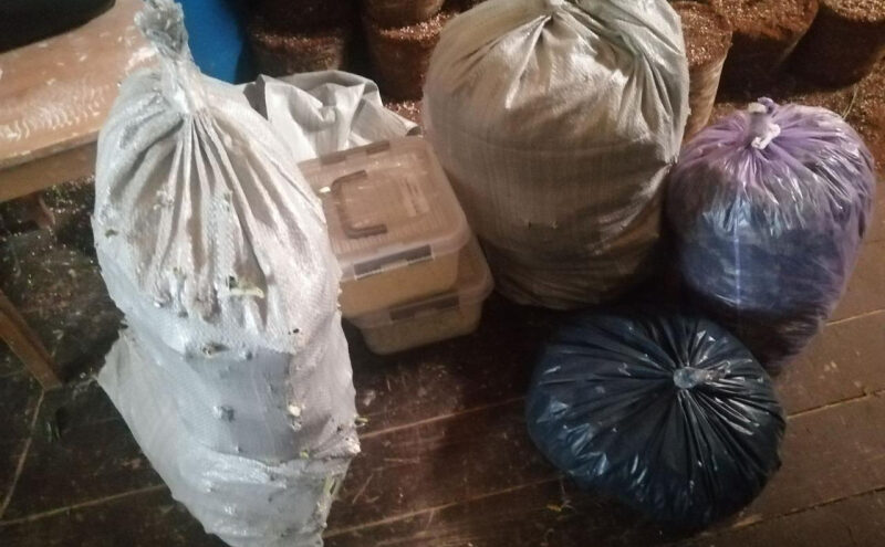 У жителя Тверской области изъяли полтора килограмма марихуаны и ювелирные весы У жителя Тверской области изъяли полтора килограмма марихуаны и ювелирные весы