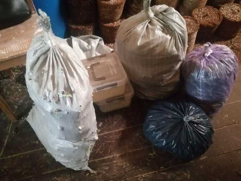 У жителя Тверской области изъяли полтора килограмма марихуаны и ювелирные весы