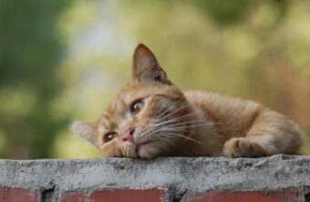 Погода в Тверской области: лета придётся подождать