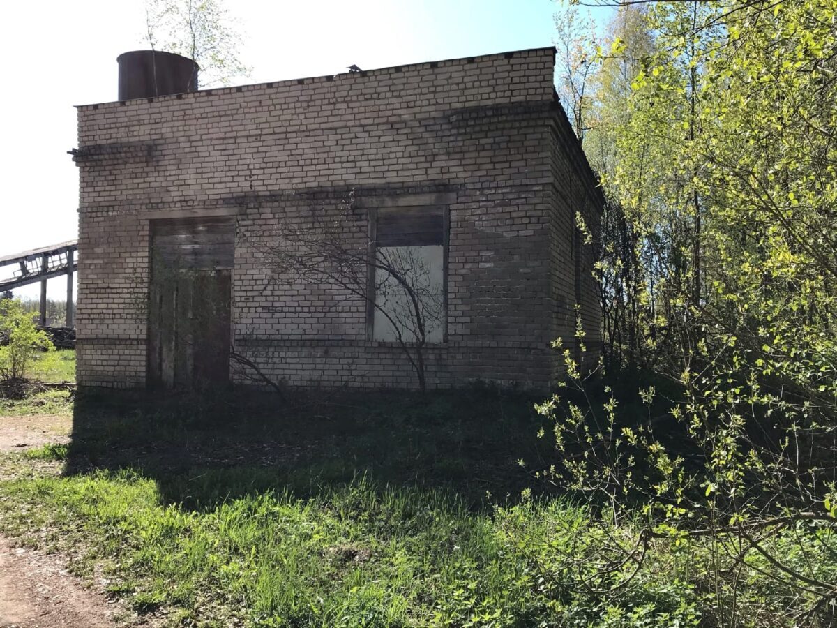 Лес в Тверской области ежегодно заливает канализацией