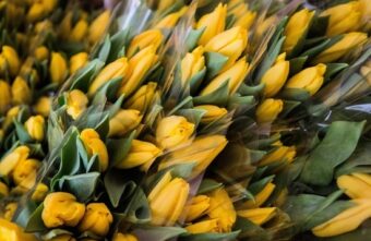 Ветеран войны из Оленинского округа отметила столетний юбилей Ветеран войны из Оленинского округа отметила столетний юбилей