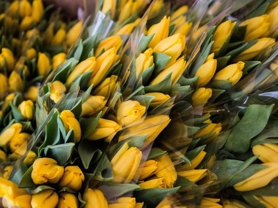 Ветеран войны из Оленинского округа отметила столетний юбилей