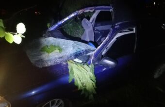 Лось попал под колёса машины в Тверской области Лось попал под колёса машины в Тверской области