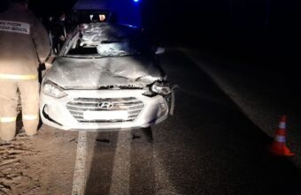 Лось стал виновником серьёзной аварии с пострадавшими в Тверской области