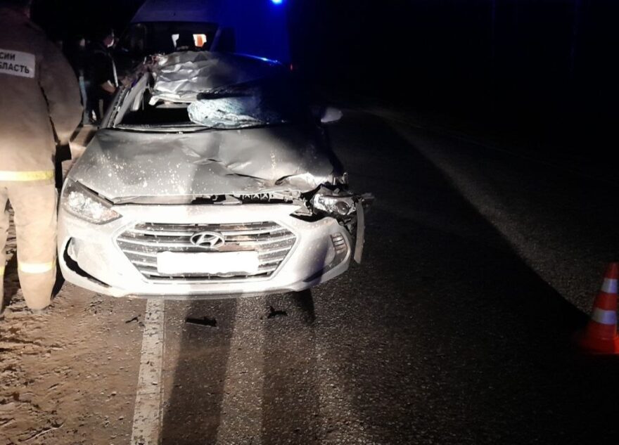 Лось стал виновником серьёзной аварии с пострадавшими в Тверской области Лось стал виновником серьёзной аварии с пострадавшими в Тверской области