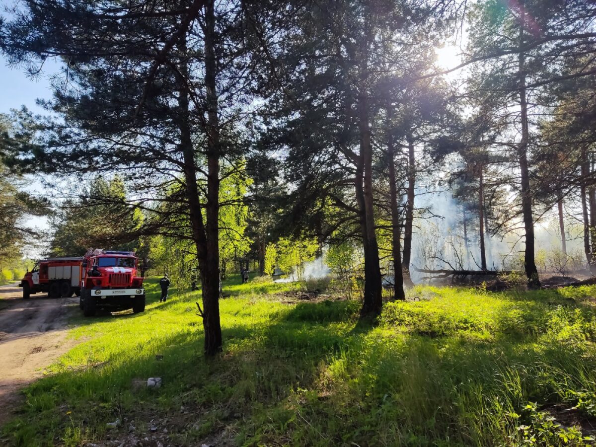 В лесу под Тверью тушат пожар