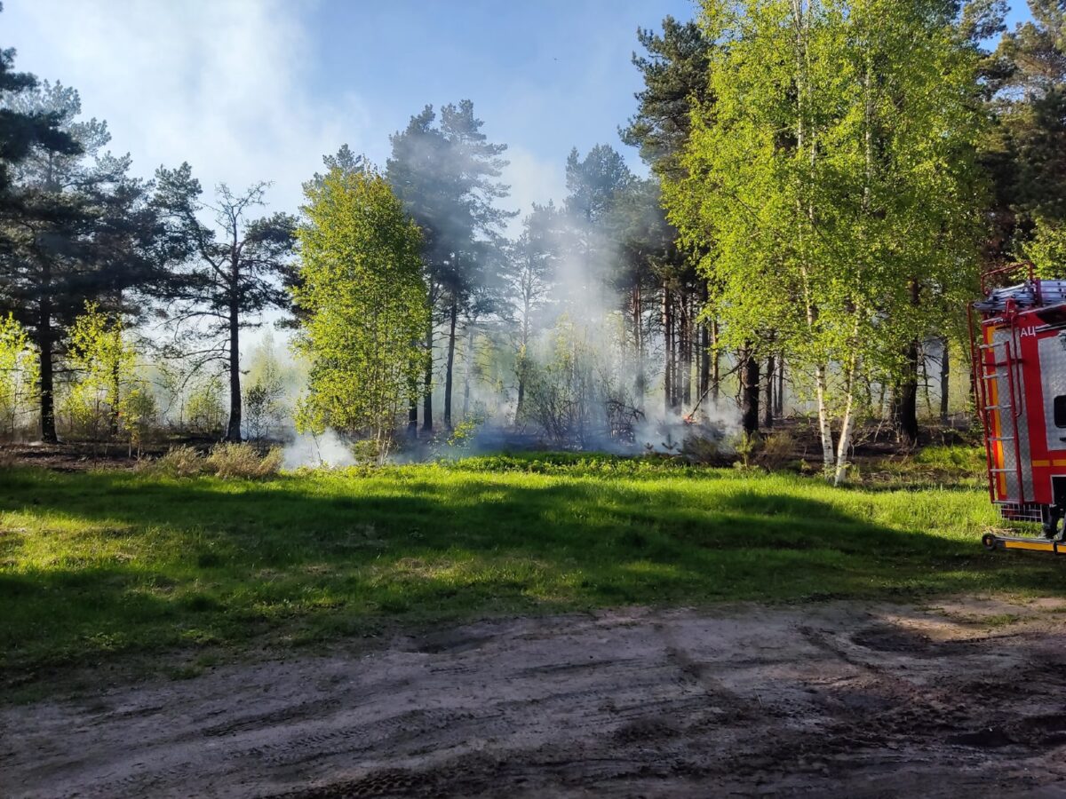 В лесу под Тверью тушат пожар
