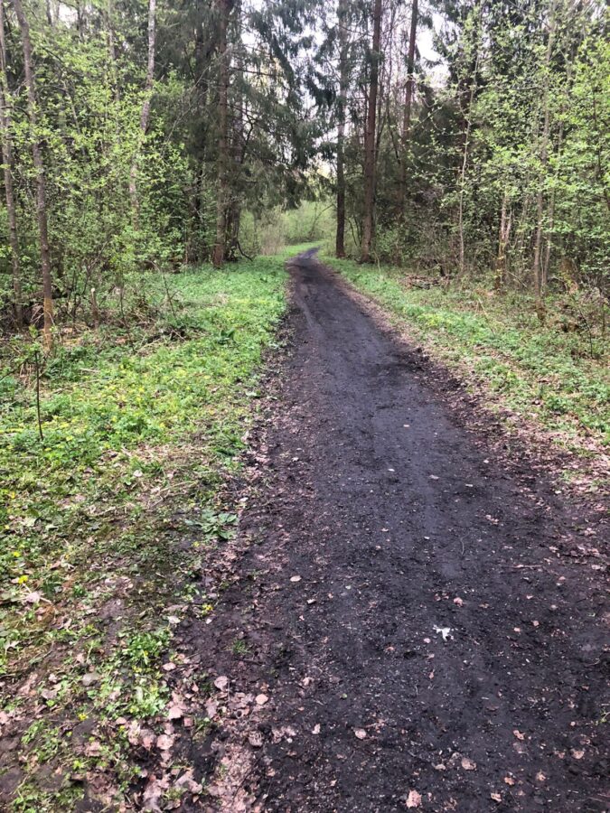 В Тверской области получил серьёзные травмы 12-летний мотоциклист