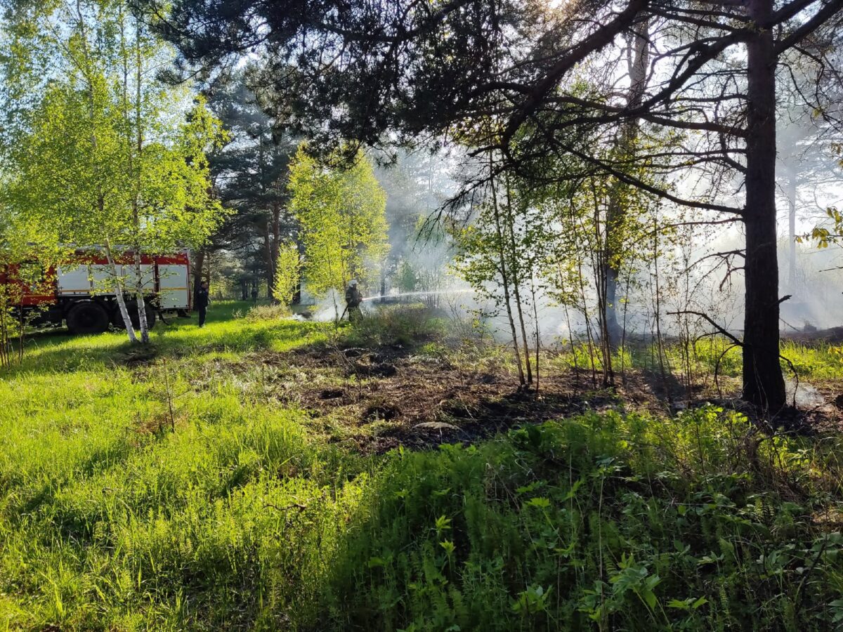 В лесу под Тверью тушат пожар