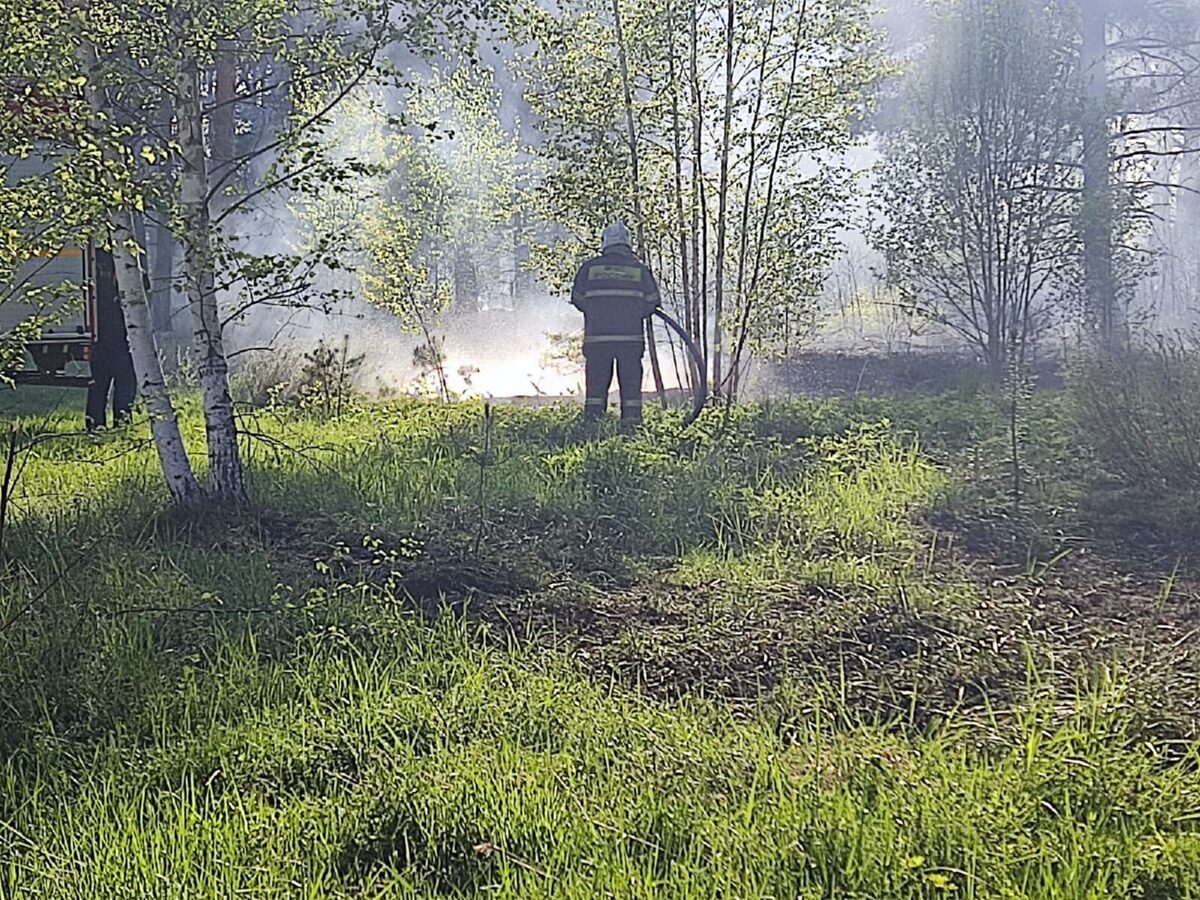 В лесу под Тверью тушат пожар