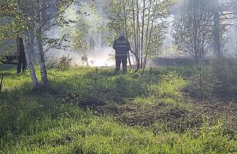 В лесу под Тверью тушат пожар